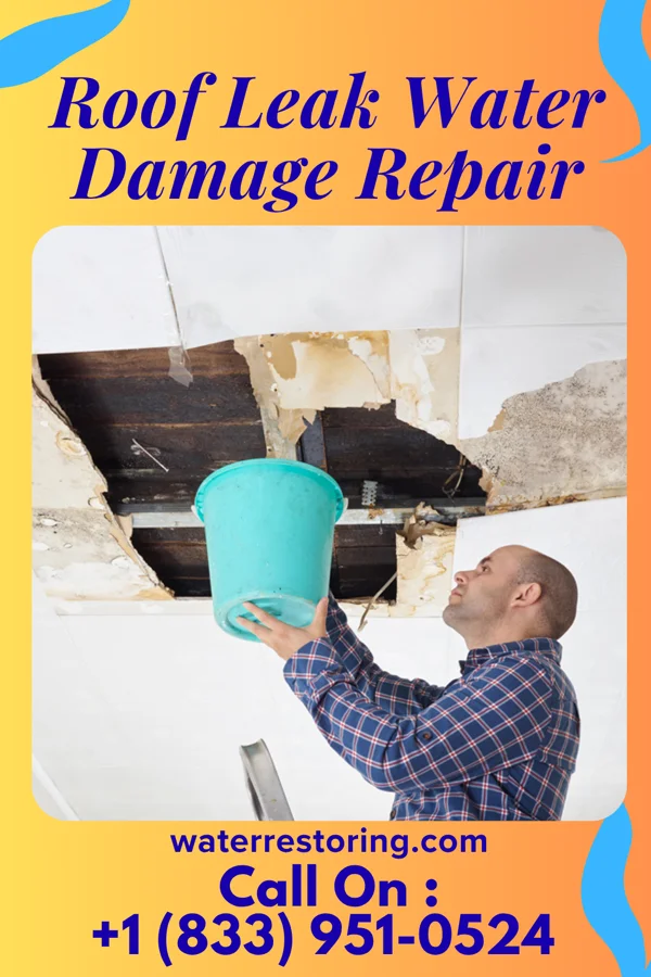 Roof Leak Water Damage Repair in Victoria, TX
